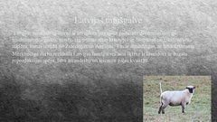 Referāts 'Aitkopība', 10.