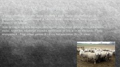 Referāts 'Aitkopība', 11.