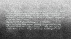 Referāts 'Aitkopība', 16.