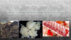 Referāts 'Aitkopība', 20.