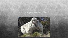 Referāts 'Aitkopība', 21.