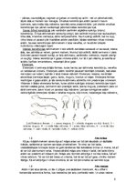 Referāts 'Aitkopība', 26.