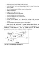 Referāts 'Stratēģijas analīze uzņēmumā - Tūrisma Valsts Aģentūrā', 5.