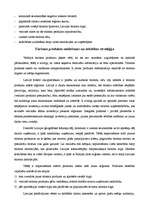 Referāts 'Stratēģijas analīze uzņēmumā - Tūrisma Valsts Aģentūrā', 7.