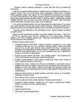 Konspekts 'Viduslaiki', 4.