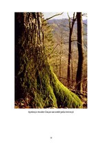 Referāts 'Gaujas nacionālais parks', 18.