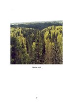 Referāts 'Gaujas nacionālais parks', 19.