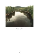 Referāts 'Gaujas nacionālais parks', 22.