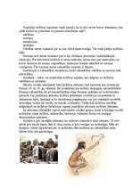 Eseja 'Es, kultūra, sabiedrība', 2.