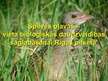 Prezentācija 'Spilves pļavas – vieta bioloģiskās daudzveidības saglabāšanai Rīgas pilsētā ', 1.