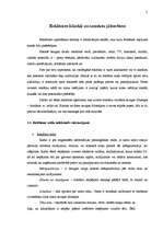 Referāts 'Reklāmas līdzekļi un izmaksu plānošana', 2.