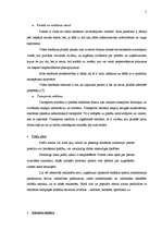 Referāts 'Reklāmas līdzekļi un izmaksu plānošana', 5.