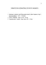 Referāts 'Reklāmas līdzekļi un izmaksu plānošana', 11.