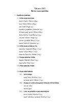 Paraugs 'Bērnu valodas analīze', 2.