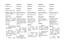 Prakses atskaite 'Aktīvā mācību un audzināšanas prakse pirmsskolā', 7.