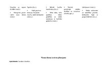 Prakses atskaite 'Aktīvā mācību un audzināšanas prakse pirmsskolā', 8.