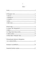 Referāts 'Vērtspapīru tirgus raksturojums', 2.