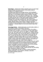 Referāts 'Brīvprātības princips sociālajā darbā', 2.