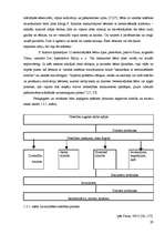 Diplomdarbs 'Sociālā pedagoga darbs ar bērniem, kuriem ir valodas sistēmas nepietiekama attīs', 25.