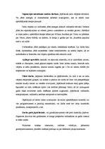 Prakses atskaite 'Prakses atskaite kokapstrādei', 13.