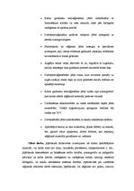 Prakses atskaite 'Prakses atskaite kokapstrādei', 16.