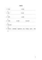 Konspekts 'Reālisma iezīmes Viļa Plūdoņa poēmās. Tematiskais plāns 11.klasei', 2.