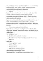 Referāts 'Naudas piedāvājuma dinamika Latvijā', 6.