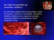 Prezentācija 'Asinsrites sistēma', 13.