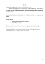 Referāts 'Sv.Jāņa evaņģēliski luteriskā baznīca', 3.