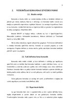 Referāts 'Veiksmīgas komandas izveidošana', 5.