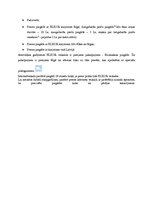 Referāts 'Mārketinga komplekss interneta veikalam "www.elkor.lv"', 7.