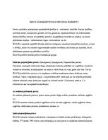 Referāts 'Mārketinga komplekss interneta veikalam "www.elkor.lv"', 8.