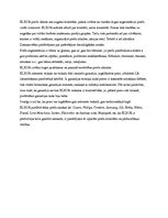 Referāts 'Mārketinga komplekss interneta veikalam "www.elkor.lv"', 9.