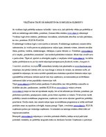 Referāts 'Mārketinga komplekss interneta veikalam "www.elkor.lv"', 12.