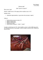 Paraugs 'Didaktiskā spēle pirmsskolā', 1.