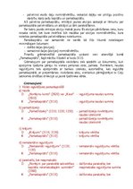 Konspekts 'Pašu kapitāla uzskaite', 3.