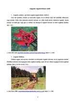 Referāts 'Augsnes sagatavošana meža atjaunošanai', 6.