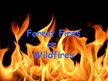 Referāts 'Forest Firesor Wildfires', 1.