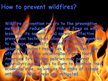 Referāts 'Forest Firesor Wildfires', 3.