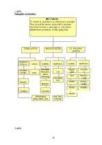 Referāts 'Narkotiku kaitīgā ietekme uz jauniešu veselību', 29.