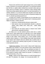 Referāts 'Bibliometrija', 7.