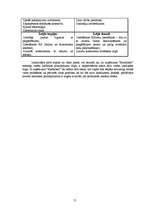 Biznesa plāns 'Biznesa plāns SIA "Ezerkrasti"', 13.