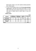 Biznesa plāns 'Biznesa plāns SIA "Ezerkrasti"', 16.