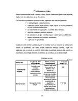 Biznesa plāns 'Biznesa plāns SIA "Ezerkrasti"', 28.