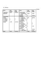 Biznesa plāns 'Biznesa plāns SIA "Ezerkrasti"', 31.