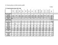 Biznesa plāns 'Biznesa plāns SIA "Ezerkrasti"', 32.