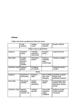 Referāts 'Vardarbīgie likumpārkāpumi - vardarbība pret bērnu', 17.