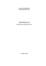 Paraugs 'Uzbudināmie audi', 1.