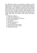 Konspekts 'Pārstāvība tiesā civillietās', 2.