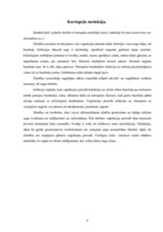 Konspekts 'Kartupeļu slimības', 6.